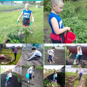 Трудовая помощь родителям на огороде